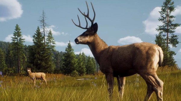 Как работает оружие в Way of the Hunter? Как работает оружие в Way of the Hunter?