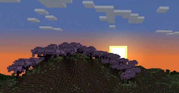 Minecraft получит биом с цветущей сакурой