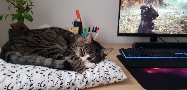 Warhammer 40k: Space Marine 2 — 10 советов для начинающих (часть 2) Warhammer 40k: Space Marine 2 — 10 советов для начинающих (часть 2)